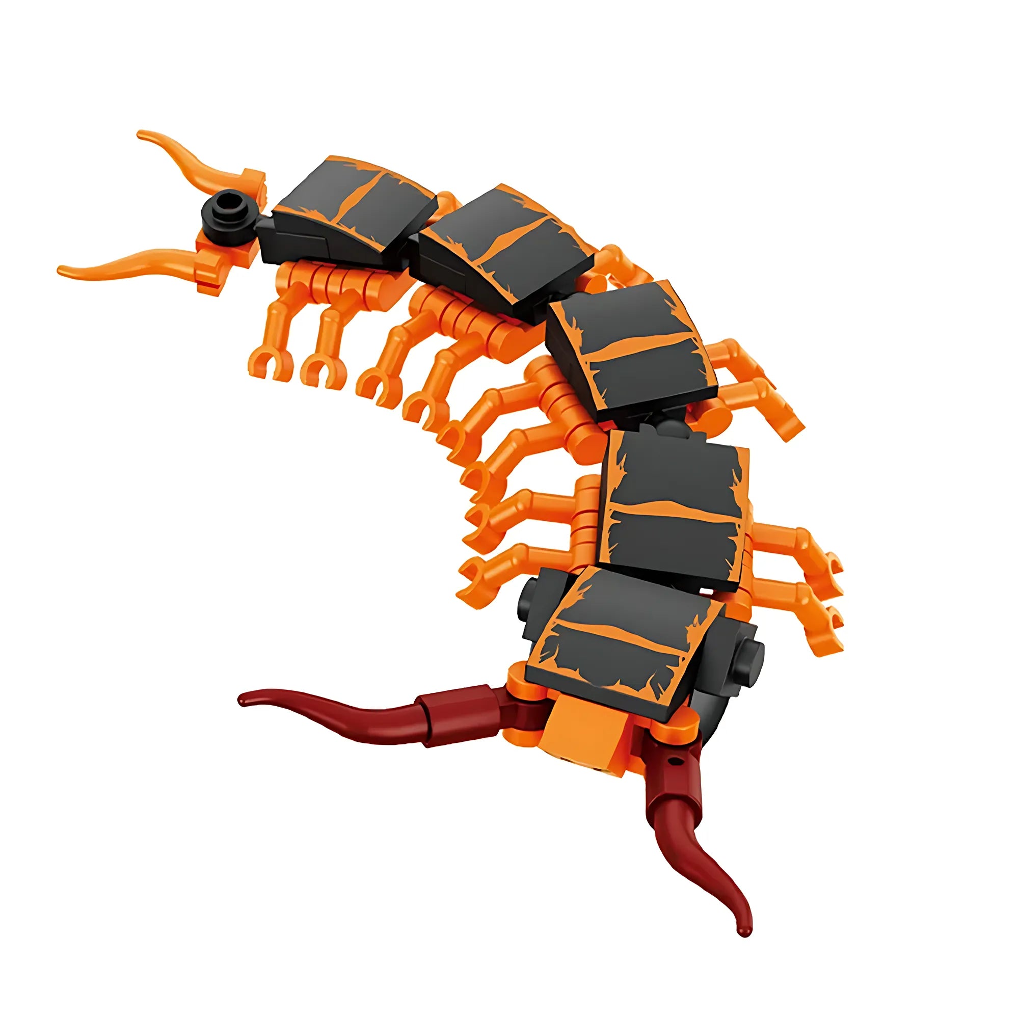 Centipede